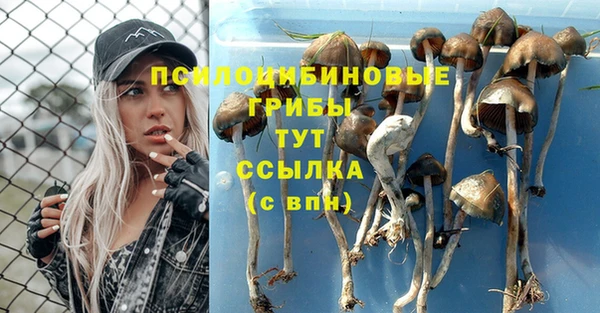 твердый Карталы