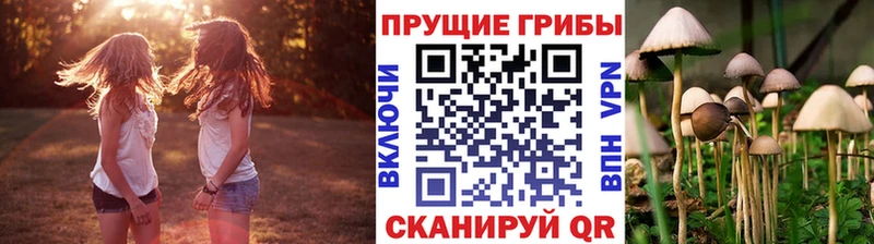 Купить  Задонск  Галлюциногенные грибы Psilocybine cubensis 